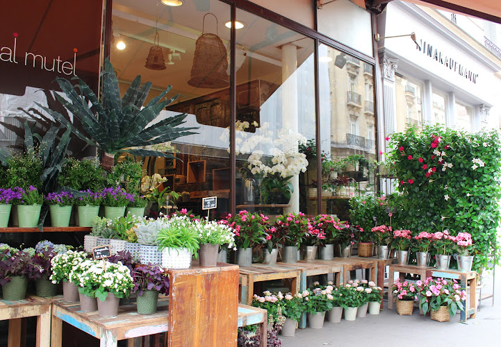 Pascal Mutel - Design Floral | Fleuriste Paris