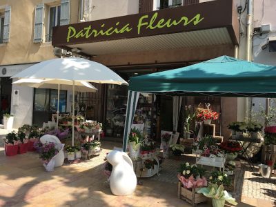 Patricia Fleurs, Pâquerette & Pimprenelle