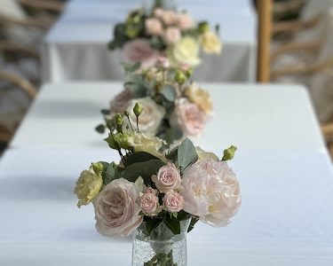 pearly white concept