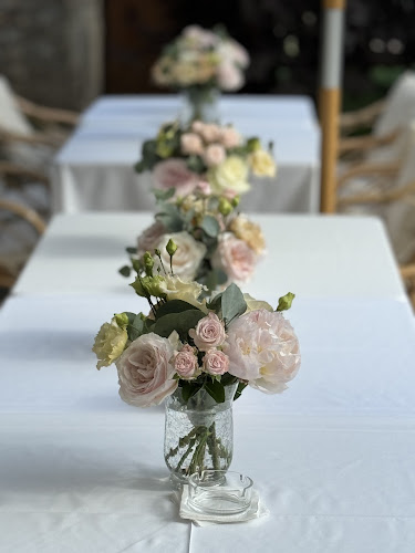 pearly white concept