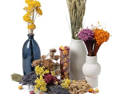 Phocealys végétaux stabilisés et secs - preserved and dried plants