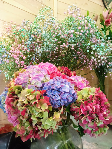 Pivoine et Caudalie - Atelier végétal Eragny