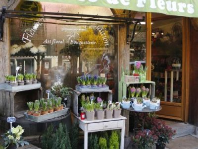 Pluie de Fleurs, Gilles Saison Artisan Fleuriste