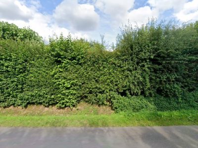 Prestige Cars Events