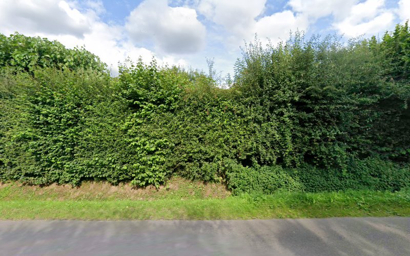 Prestige Cars Events