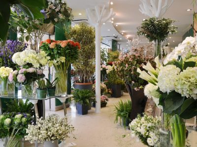 René Veyrat | Fleuriste à Paris 8e