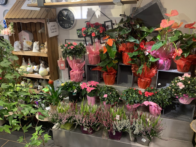 Ripa Fleurs - Fleuriste - Rive de Gier