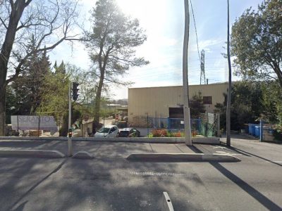 Sabine Panizzi Flowers