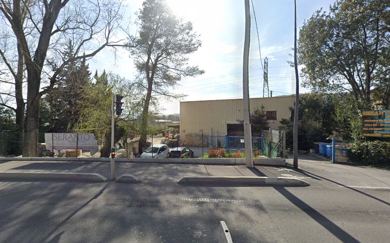 Sabine Panizzi Flowers