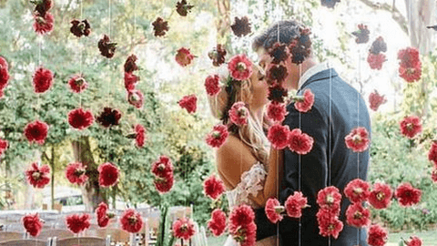 Sacha.b - Wedding Planner Biarritz et Toulouse