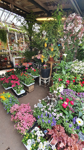 Shawnee Plantshop