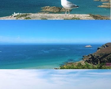 ??????? Sinocom Voyage