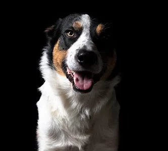Story Photographie