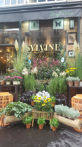 SYLVINE FLEURS