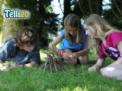 Telligo