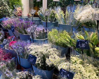 TOUJOURS FLEURS ALBI - INTERFLORA