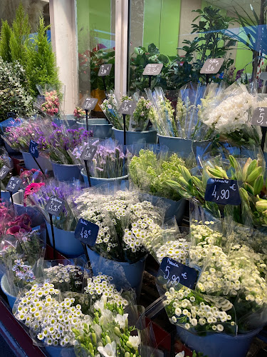 TOUJOURS FLEURS ALBI - INTERFLORA