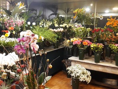 Tropaz Fleurs, Artisan Fleuriste à Albi