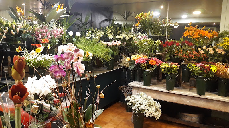 Tropaz Fleurs, Artisan Fleuriste à Albi