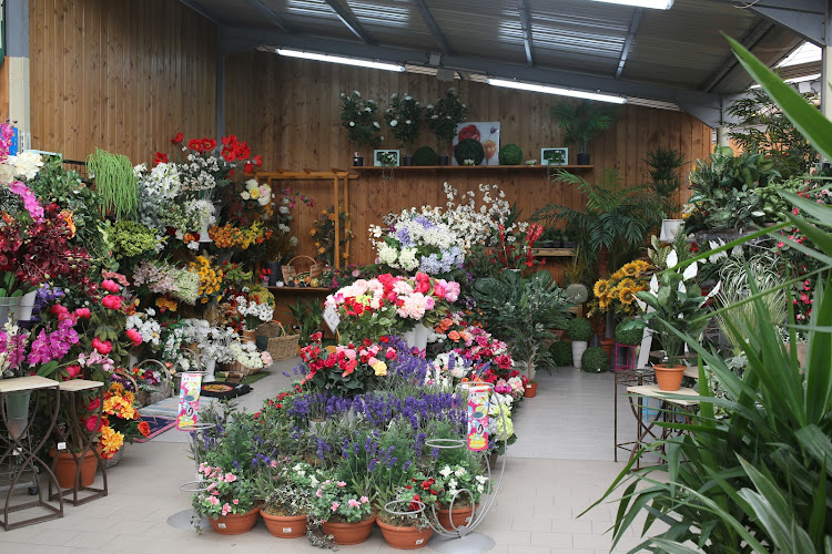 Truffaut Petruccioli