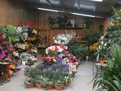 Truffaut Petruccioli