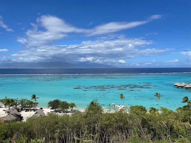 TURQUOISE VOYAGES Lyon