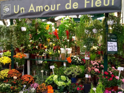 Un Amour de Fleur | Fleuriste Paris