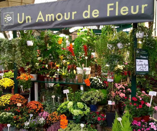 Un Amour de Fleur | Fleuriste Paris