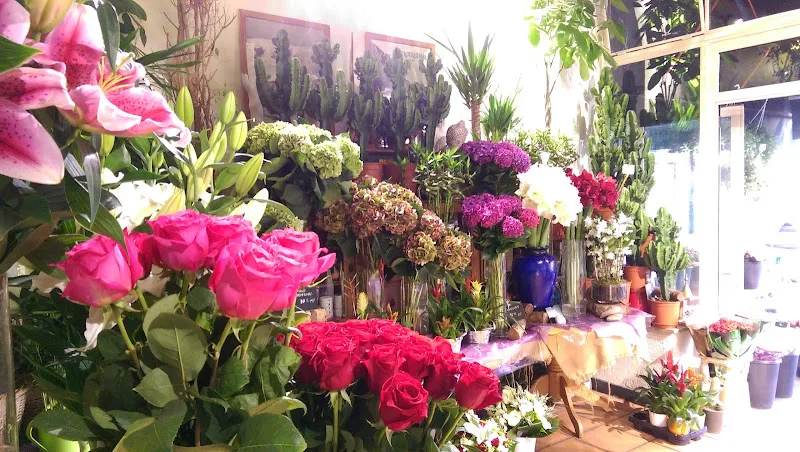 Vertiges Fleurs