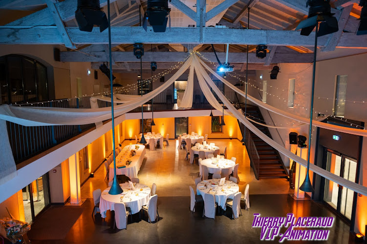 VIP ANIMATION Thierry Placeraud DJ Mariage Bordeaux
