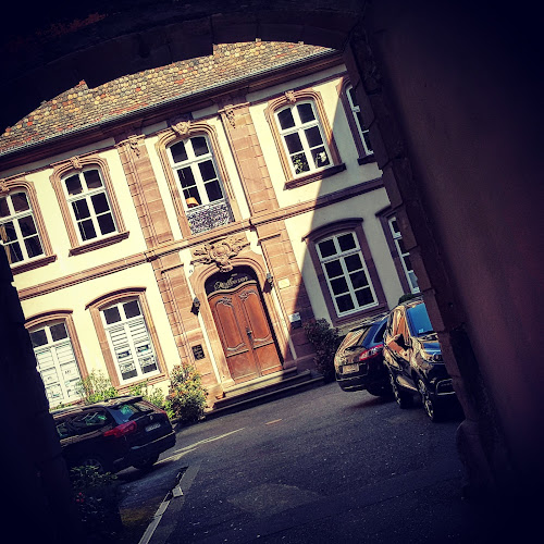 Wild in Love Festival - Salon du Mariage à Strasbourg et Mulhouse