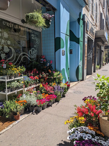 Ziggy | Fleuriste Marseille